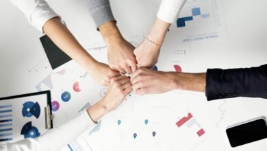 sector growth data insights