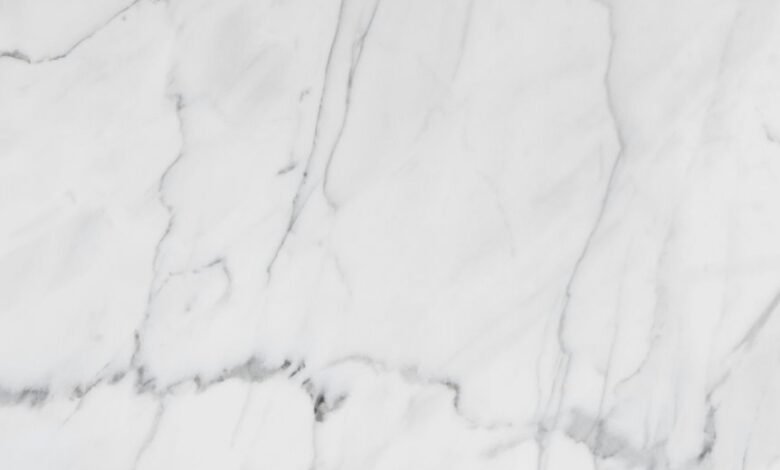 premium industry review insights